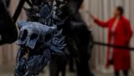 Penampakan Fosil Stegosaurus, Penemuan Langka di Museum AS