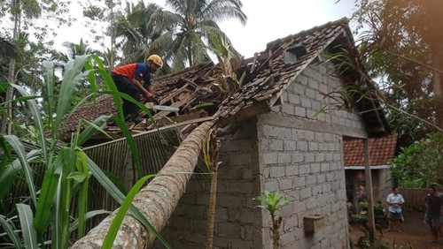 Petugas BPBD Karangasem saat mengevakuasi pohon tumbang dan tanah longsor di Karangasem, Sabtu (7/12/2024). (Foto: Dok. BPBD Karangasem)