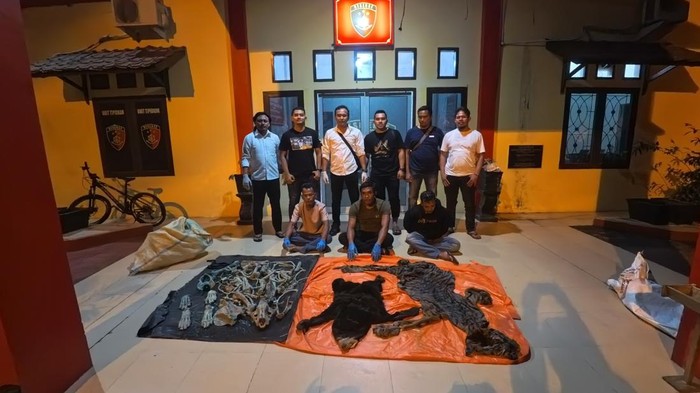Polisi mengamankan pelaku penjualan kulit hewan di Aceh