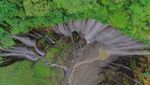 Terbius Kemegahan Air Terjun Tumpak Sewu