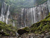 Terbius Kemegahan Air Terjun Tumpak Sewu