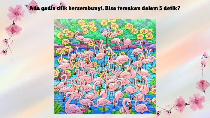 Ini adalah gambar sekumpulan burung flamingo. Tapi di antara burung-burung berwarna merah muda ini ada seorang gadis yang bersembunyi. Dapatkah kalian menemukan dia dalam waktu 5 detik?