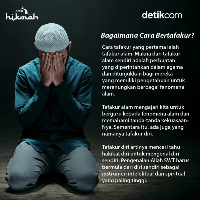 Infografis