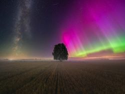 Warna-warni Aurora yang Menakjubkan di Northern Lights Photographer of the Year 2024