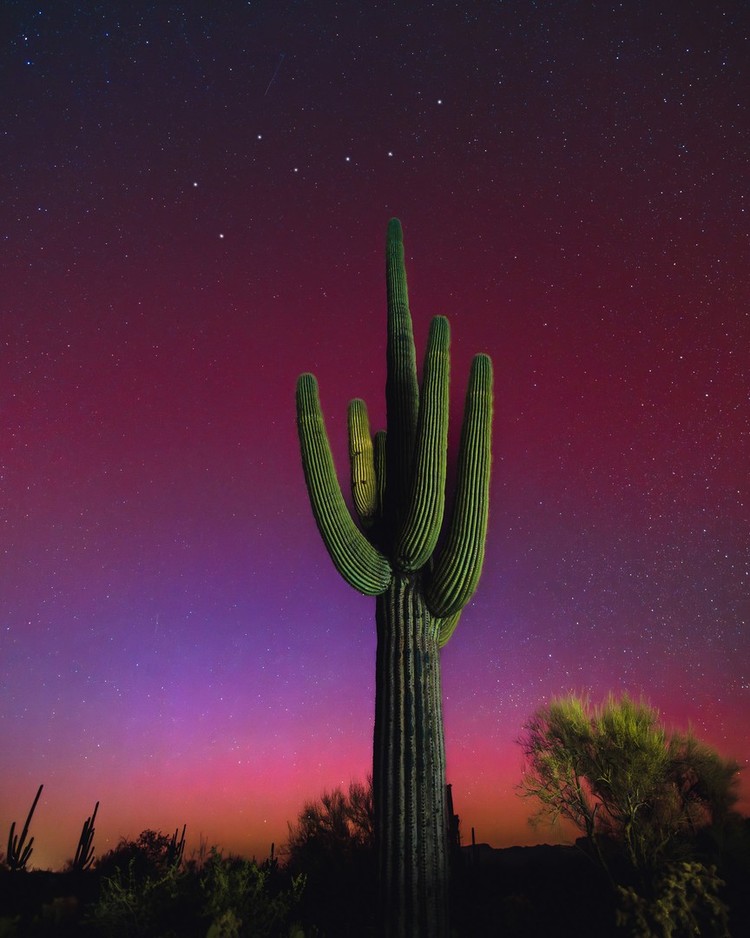 Northern Lights Photographer of the Year 2024