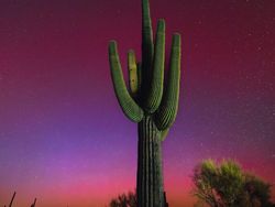 Warna-warni Aurora yang Menakjubkan di Northern Lights Photographer of the Year 2024
