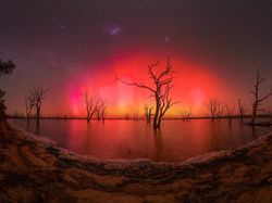 Warna-warni Aurora yang Menakjubkan di Northern Lights Photographer of the Year 2024