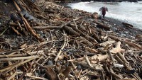 Seorang warga beraktivitas di sekitar tumpukan sampah yang mengotori Pantai Loji, Pelabuhan Ratu, Sukabumi, Jawa Barat, Sabtu (7/12/2024).