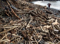 Sampah Kotori Pantai Loji Sukabumi