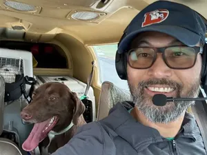 Pilot Penyelamat Hewan Kecelakaan, 2 Anjing Selamat
