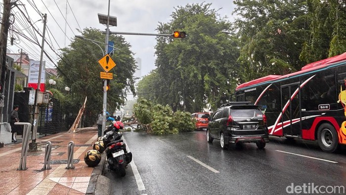 Pohon tumbang di Jalan Pemuda Surabaya.
