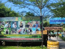 Wisata Sambil Belajar tentang Hewan di Rahmat Zoo and Park Sergai