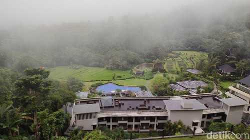 Suasana Homm Saranam Hotel Tabanan beberapa waktu lalu. (Ahmad Firizqi Irwan)