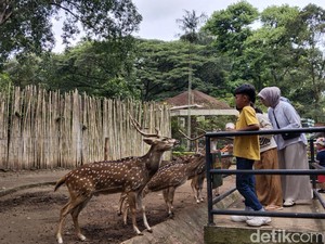 1 Juta Wisatawan Diprediksi Datang ke Bandung Saat Libur Lebaran