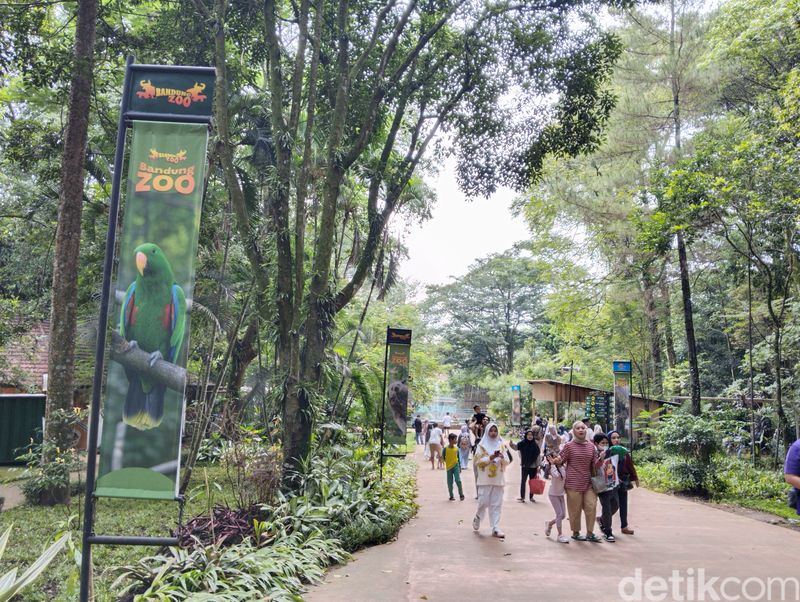Suasana Kebun Binatang Bandung (Bandung Zoo), pada Minggu (8/12/2024).