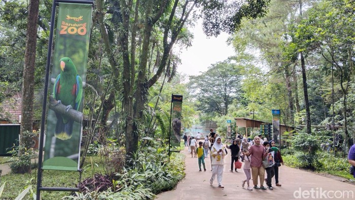 Suasana Kebun Binatang Bandung (Bandung Zoo), pada Minggu (8/12/2024).