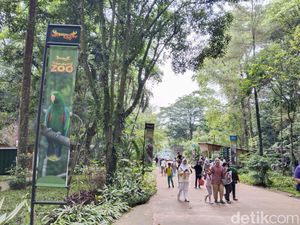 Cerita Wisatawan Nikmati Libur Lebaran di Kebun Binatang Bandung