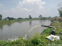 Petani Tambak Lamongan Sedih Bibit Terbatas Saat Musim Tebar Ikan Dimulai