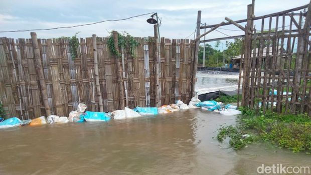 tambak udang pasuruan