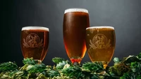 Pale ale yang menyegarkan berhasil diciptakan oleh Full Circle Pale Ale dengan cara unik. Berasal dari kepedulian kualitas air, ada upaya pemanfaatan hingga limbah air aman dikonsumsi 100%. Foto: Food & Wine