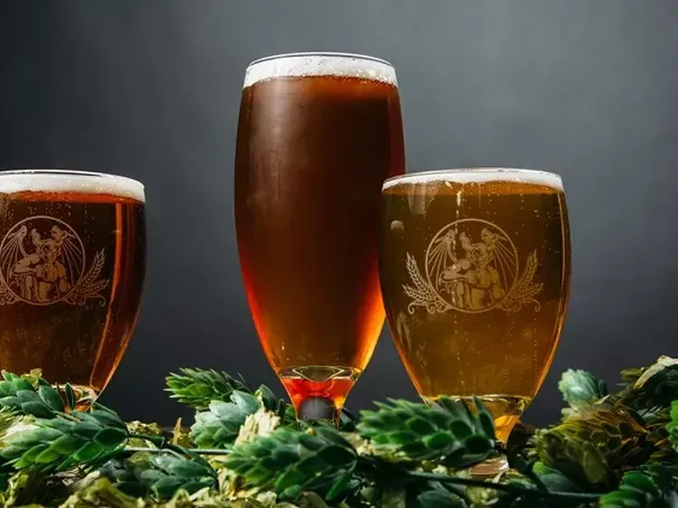 10 Racikan Bir Paling Aneh, Diracik Pakai Ragi Kursi dan Urine