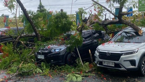 Dua mobil rusak tertimpa pohon tumbang di RSUD Praya, Lombok Tengah, NTB, Senin (9/12/2024).