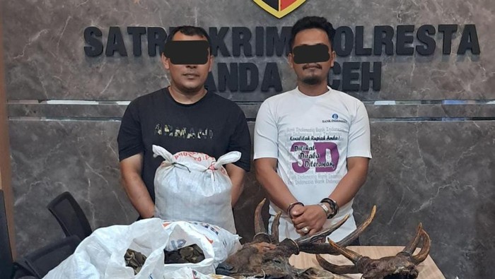 Dua pria ditangkap karena diduga menjual organ tubuh berbagai jenis satwa dilindungi. (dok. Polresta Banda Aceh)