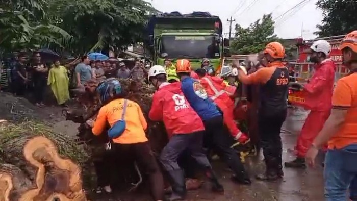 Tangkaan layar Pengendara motor tertimpa pohon tumbang