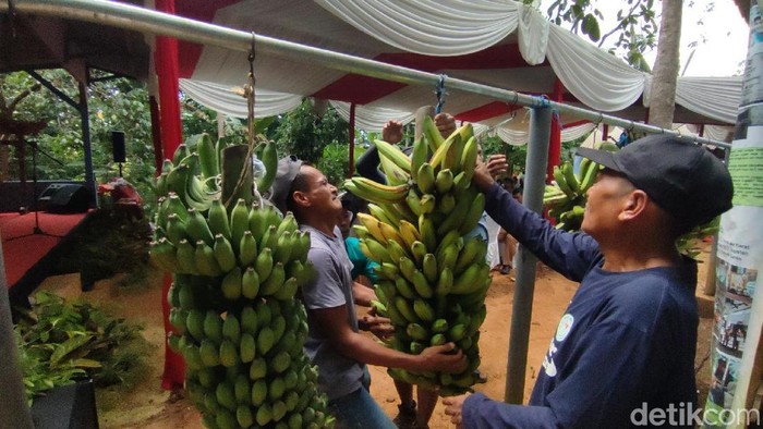 Festival pisang di Ciamis
