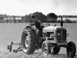 Deretan Foto Punya Cerita Mengejutkan