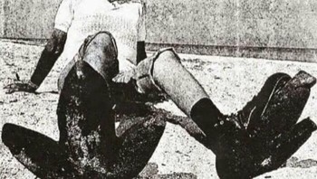 Pada tahun 1948, seorang pria mengenakan sepatu timah seberat 30 pon, 3 jari kaki & menginjak-injak pantai Florida di malam hari. Jejak kaki membuat orang percaya bahwa seekor penguin setinggi 15 kaki berkeliaran. Dia terus melakukan lelucon selama 10 tahun, mengunjungi berbagai pantai. Hoax itu tidak terungkap sampai 40 tahun kemudian Foto: Boredpanda