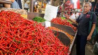 Badan Pangan Nasional (Bapanas) mencatat harga sejumlah komoditas pangan secara umum naik pada Senin (9/12) pagi, seperti sejumlah jenis cabai naik Rp4.430-Rp5.650 per kilogram menjadi Rp34.880-Rp44.310 per kg, dan bawang putih naik Rp5.410 menjadi Rp47.520 per kilogram.