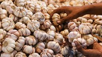 Pembeli memilih bawang putih di Pasar Senen, Jakarta, Senin (9/12/2024).