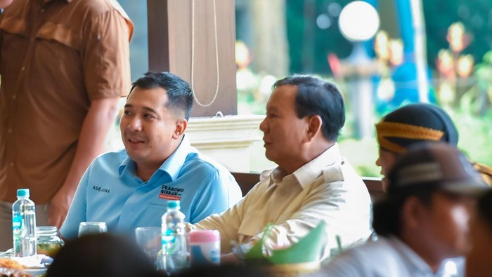 Ketua Gerindra Sumut Ade Jona saat bersama Presiden Prabowo Subianto. (Dok. Gerindra Sumut)