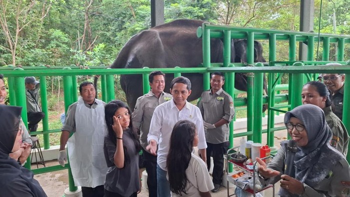 Menteri Kehutanan Raja Juli Antoni saat mengunjungi Balai Taman Nasional Way Kambas.
