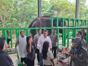 Wuih! Area Penangkaran Gajah dan Badak di TN Way Kambas Bakal Diperluas