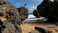 Di Pantai Mbuluk, traveler dapat duduk bersantai di atas pasir putih, sambil menikmati piknik sederhana bersama keluarga dan teman-teman. Bisa juga mengabadikan momen dengan berfoto-foto, bermain pasir, atau hanya bercanda tawa dengan orang-orang terdekat. (Amalia/detikTravel)