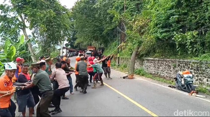 Pohon tumbang di Cigendel Sumedang timpa pengendara motor.
