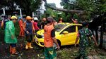 Pohon Tumbang Timpa Dua Mobil di Kota Malang