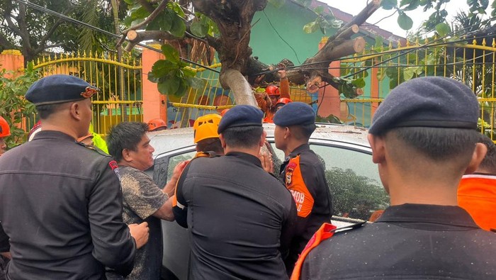 Pohon tumbang menimpa mobil yang sedang parkir di Kota Parepare, Sulawesi Selatan (Sulsel).