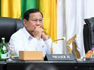 Terungkap Alasan Prabowo Bentuk Danantara!