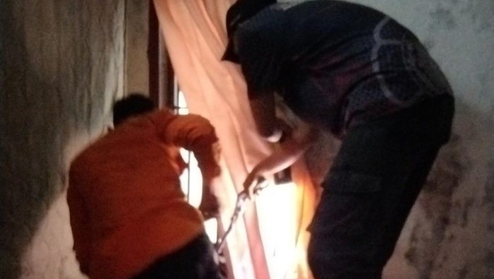 Proses evakuasi ular masuk rumah warga di Lubuklinggau