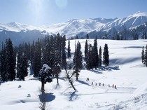 Salju Turun di Wilayah India, Operator Wisata Gembira