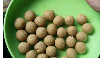 Tahu bulat gagal ngembang, jadi kayak kelengkeng. Foto: X/panggilakuwan