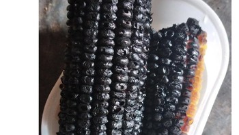 Kirain mah jagung bakar. Lah, ini direbus. Foto: X/enhaiipeun