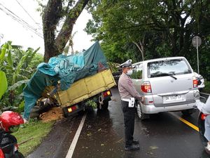 Hindari Tabrakan, Truk Muat Jagung Tabrak Pohon di Jalan Denpasar-Gilimanuk