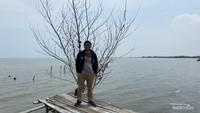Pantai Indramayu