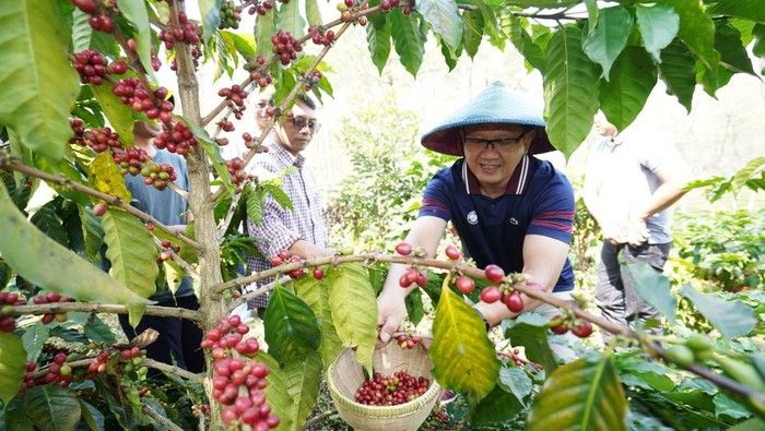 5 Desa Ini Punya Kopi dengan Proil Rasa yang Unik