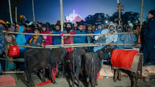 Festival Gadhimai Nepal yang menyembelih setengah juta ekor hewan