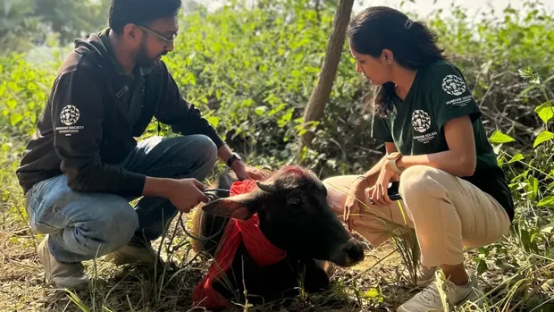 Festival Gadhimai Nepal yang menyembelih setengah juta ekor hewan